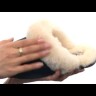 Женские тапочки Coquette Slipper Black