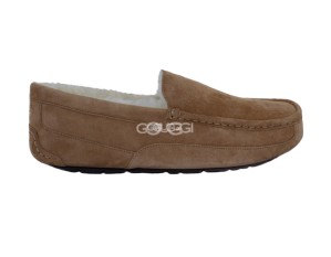 Ascot Chestnut