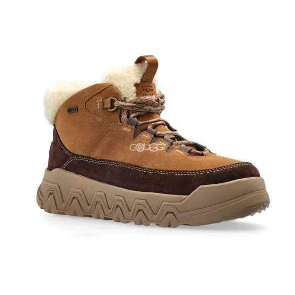 Женские ботинки TerreTrail Cozy Lace Boot Chestnut